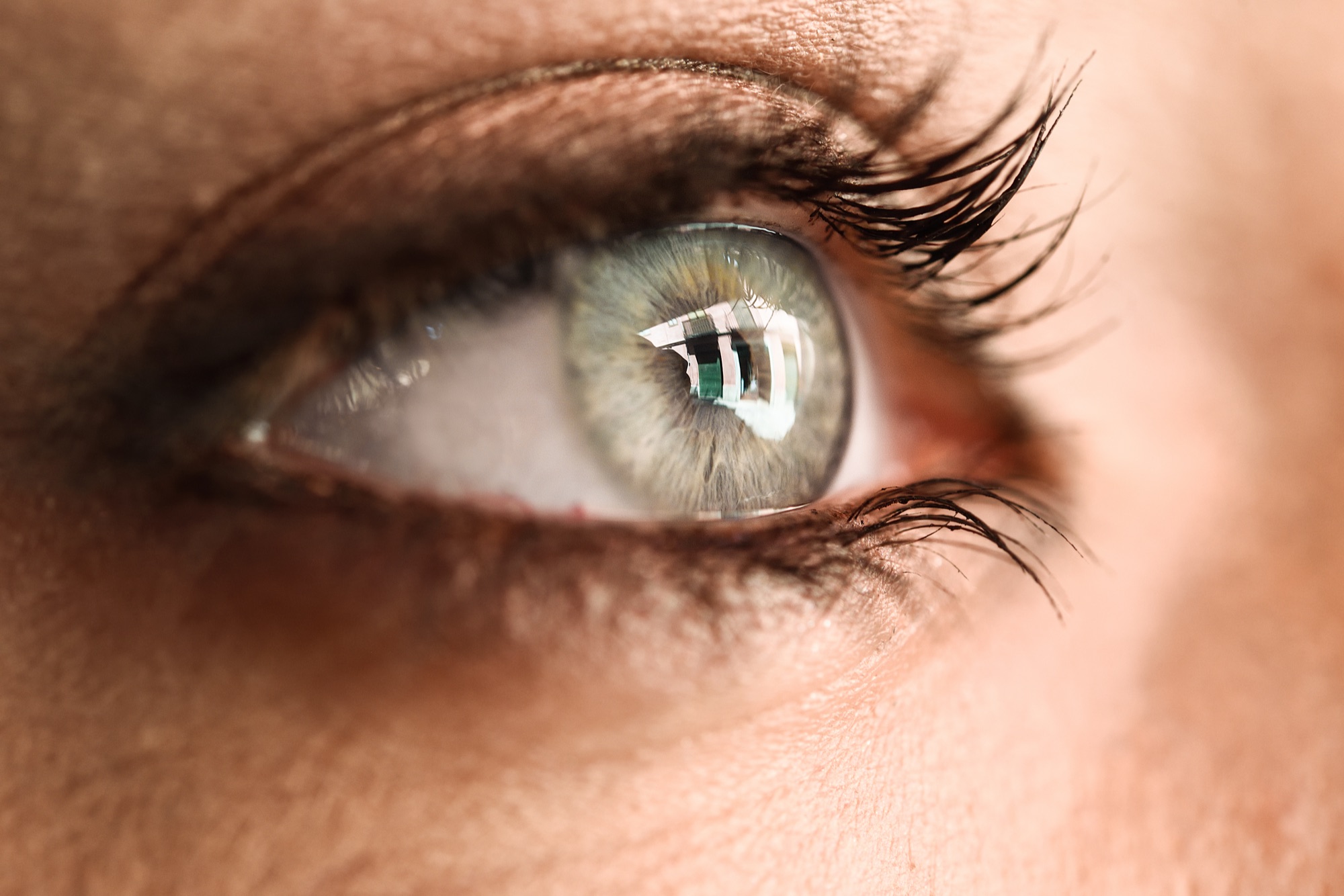 Macro close-up of a bright human iris representing the precision of vision correction surgery at Filutowski Eye Institute